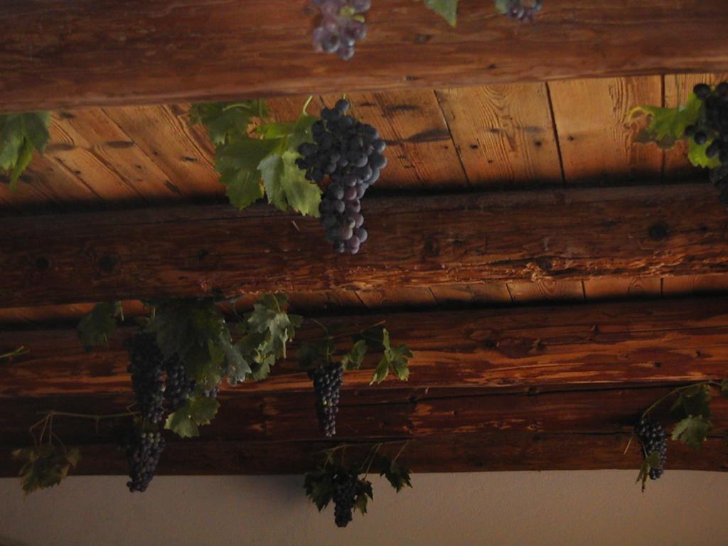 B&B Al Cristo Sant'Ambrogio di Valpolicella Eksteriør billede
